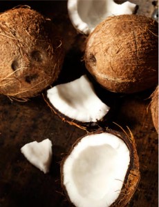 Bestfit Issue 10 - coconut oil pulling